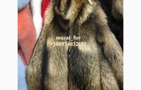 Шкуры енота кисточковый