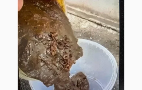 Фуз олійний у продажу