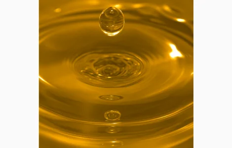 Купую соєвий гідрофуз