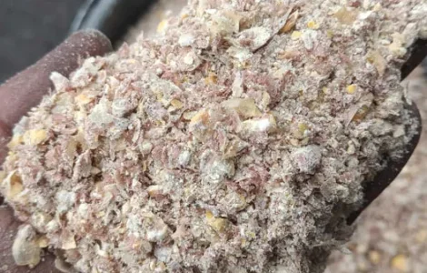 Отходы кукурузы высокого качества