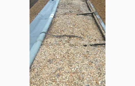 Щепа древесная