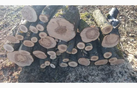 Дрова яблуні для опалення та мангала