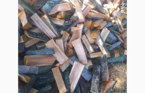 Продам дрова колоті дуб