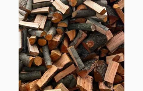 Продаж дров твердих порід Ківерці
