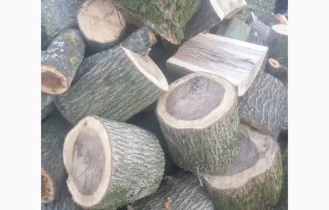 Дубові дрова з доставкою у Луцьк та Луцький район