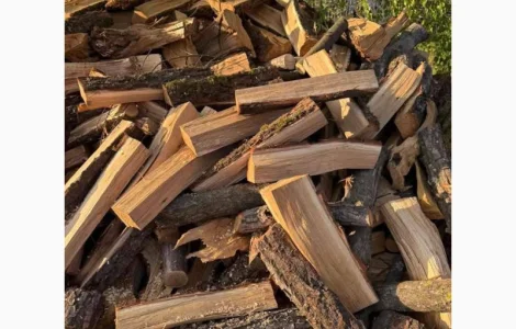 Купуйте дрова Торчин швидко
