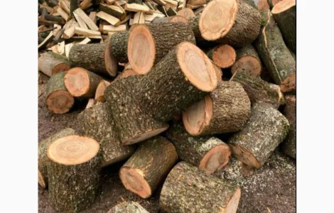 Купити дрова дубові Луцьк дрова з дуба