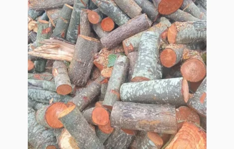 Купити дрова вільха в Ківерці