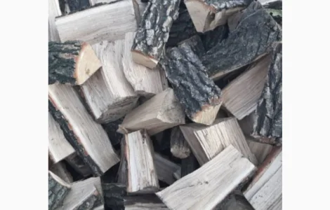 Купити дубові дрова Рожище