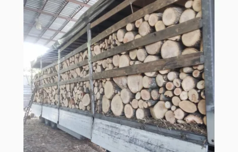 Купую дрова твердих пород