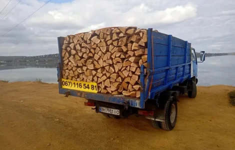 Продам дрова дубові рубані