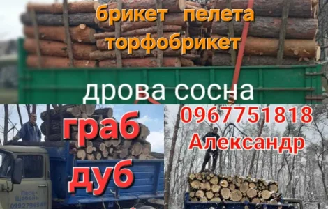 Дрова дуб граб. Паливний брикет. Вугілля