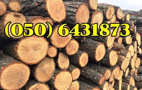 Продам дрова дубові колоті та в чурках