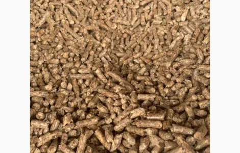 Паливні пелети з сосни ENplus A1