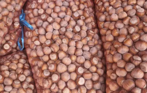 Продажа фундука и фисташки опт и розница