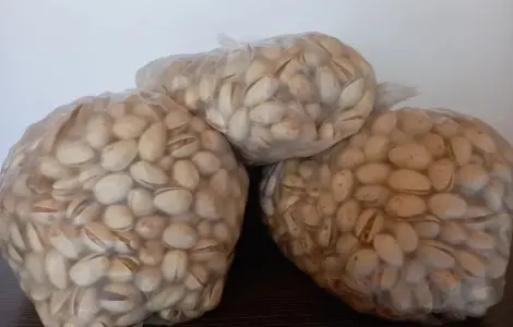 Фісташка Каліфорнійська