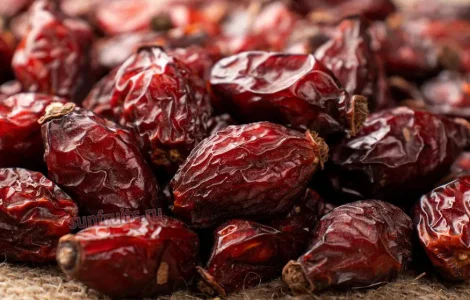 Сушеная шипшина - полезные плоды шиповника