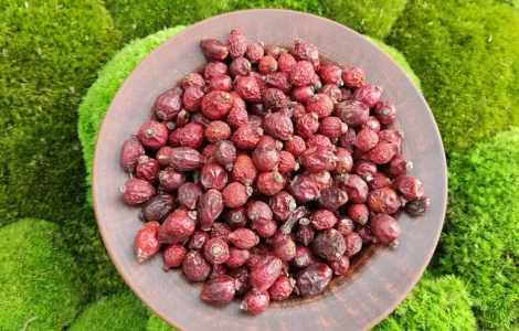 Шипшина сушена , шиповник сушеный