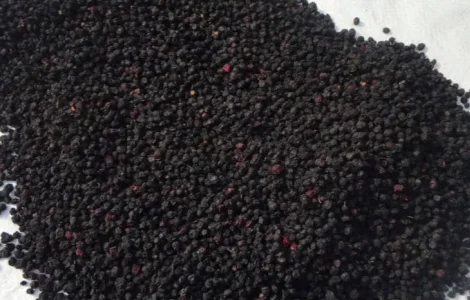 Сушеная карпатская черника, черника сушёная