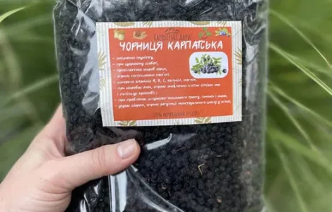 Сушеная черника (черника сушеная) из Карпат