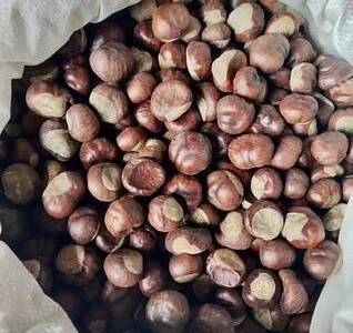 Каштан конський сушений