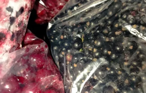 Пропонується заморожена смородина