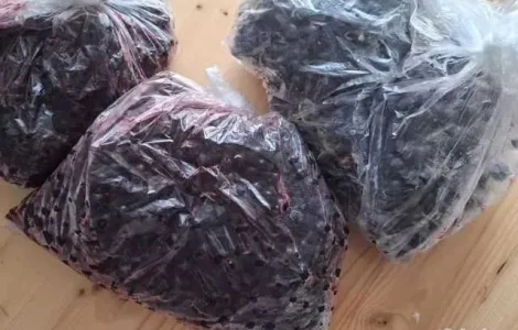 Заморожена смородина 2025 року