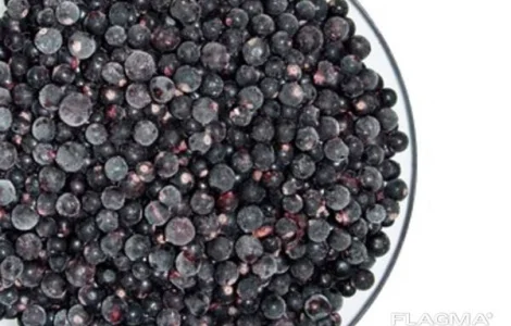 Продается 500 кг замороженной смородины