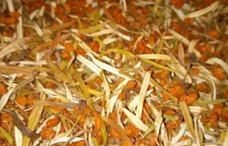 Сухая облепиха и Иван-чай на продажу