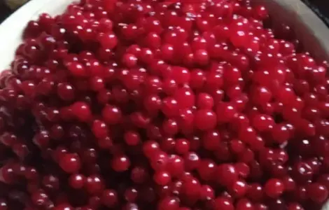 Клюква/ Журавлина