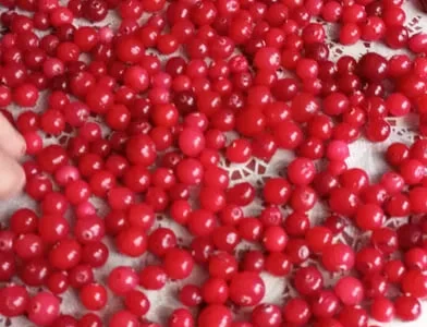 Продам клюкву - журавлину світленька