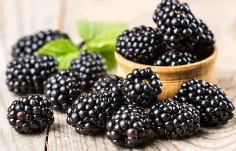 Пропонується свіжа ожина