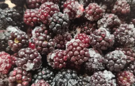 Заморожені ягоди: порічка, малина, ожина