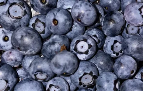 Замороженные ягоды голубики и малины