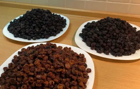 Сушена ягода жовтої черешні, вишні, яблука