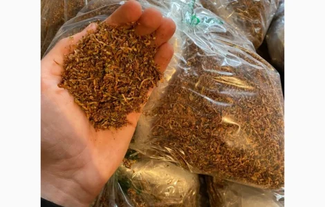 Табак Вірджинія середня – премиум качество