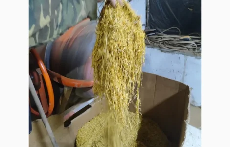 Продажа табака высокого качества