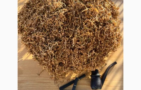 Табак разных брендов в продаже