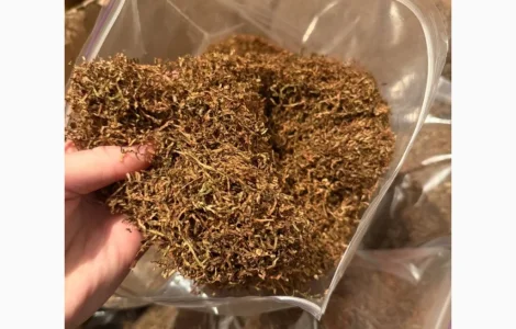 Табак: Burley, Virginia, Davidoff и Millennium