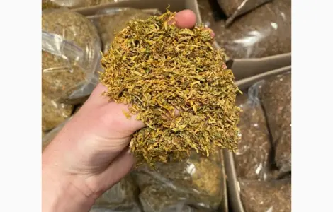В продажу кілограм тютюну Вірджинія / Берлі - без центральної жилки