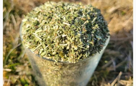 Продажа самосада - махорка