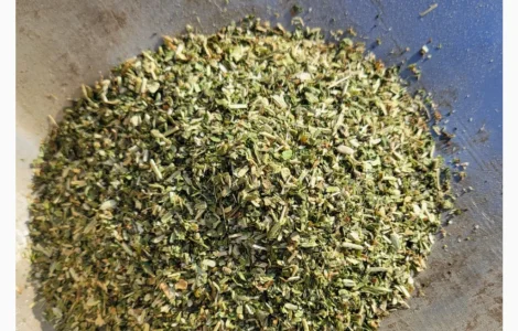 Продажа тютюна – зелёная махорка