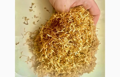 Табак фабричный. Разнообразие сортов. Тютюн для гильз