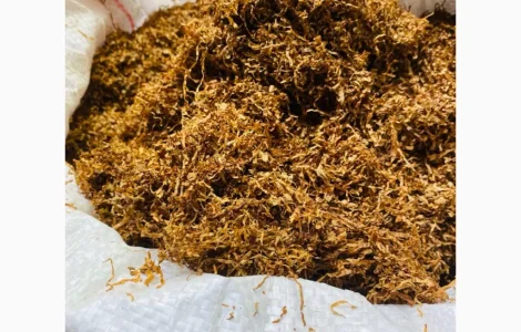 Табак. Широкий ассортимент! Золото Руно