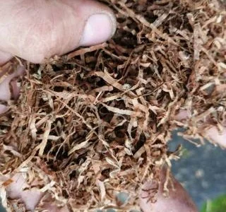 Запашний домашній тютюн без сміття та пилу