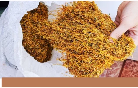 Табак Вирджиния и Золотое руно – домашний, без добавок