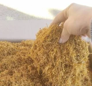 Тютюн Вірджінія - без хімії, 700 грн за кг