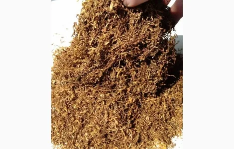 Запашний домашній тютюн без пилу – 600 грн за кг