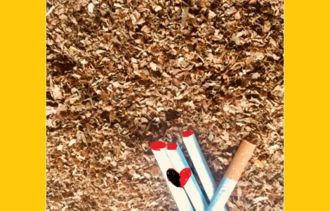 Табак Вирджиния и Берли, порезка хлопьями – 700 грн за кг