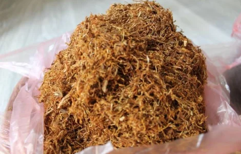 Продажа домашнего табака махорка, свежий и ароматный